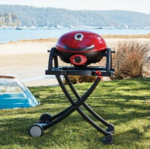 מוצרים נלווים לגריל גז