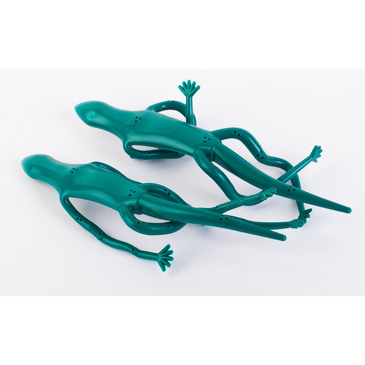 קשירה לעציצים