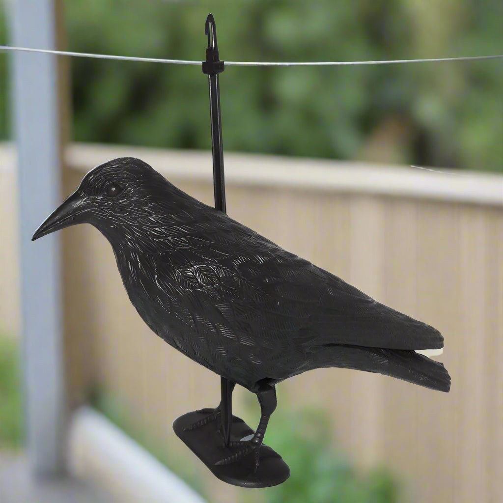 עורב להרחקת יונים HOME