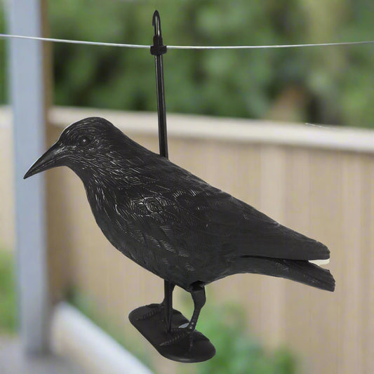 עורב להרחקת יונים HOME