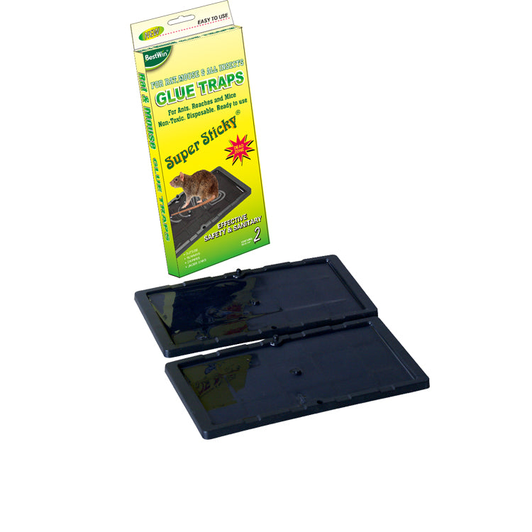 מגש דבק ללכידת עכברים 2יח 26*13סמ