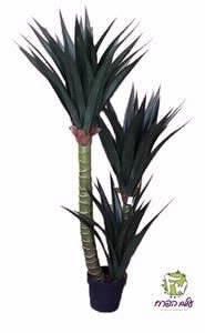 עץ עם 3 גזעים 150 ס"מ