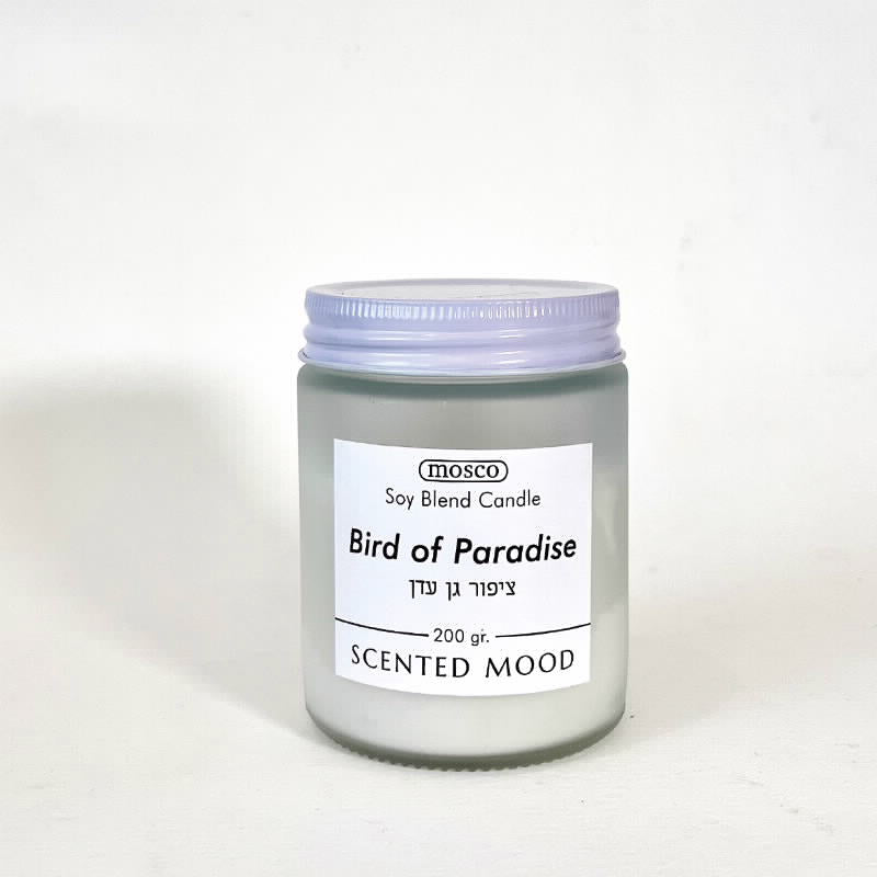 נר צנצנת לבן