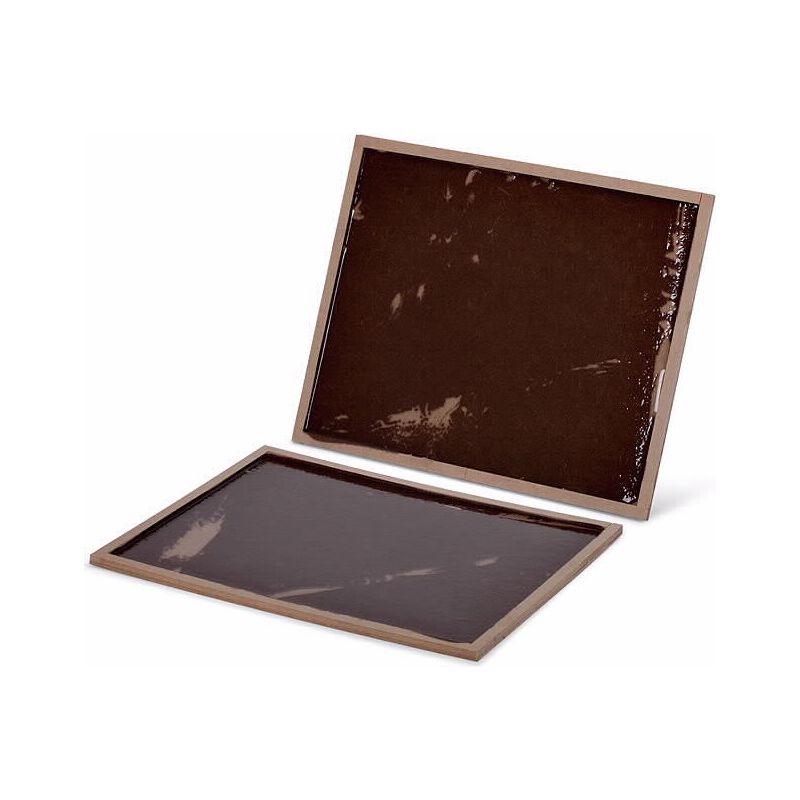 מלכודת הרקולס דבק חולדות מעץ