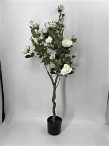 עץ ורדים לבן 120 ס"מ