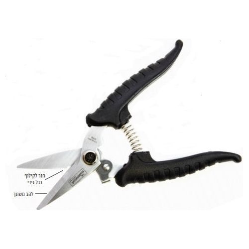 מספרי קומבי קפיצי (כלבו)