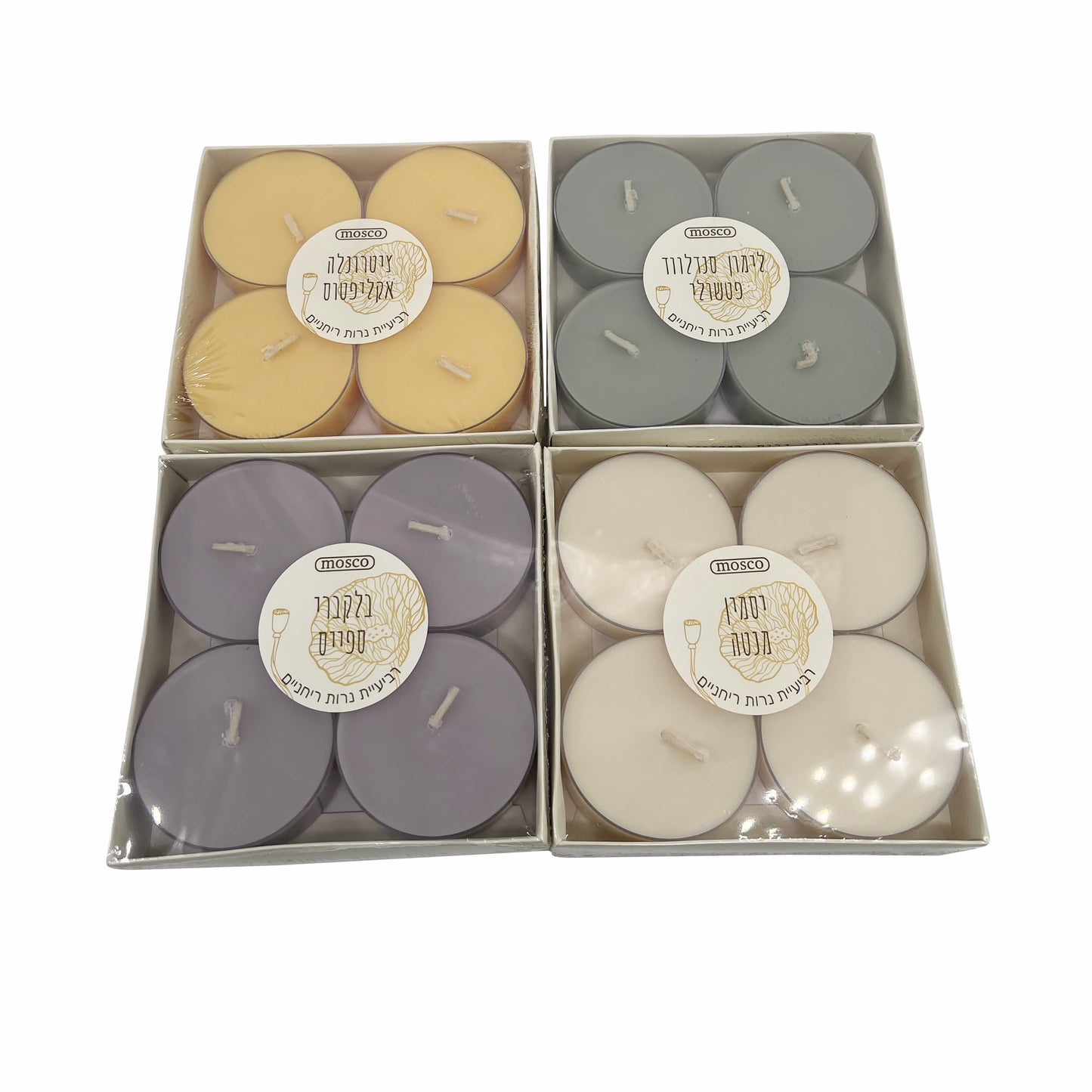 רביעיית להבונים לאירוח XL