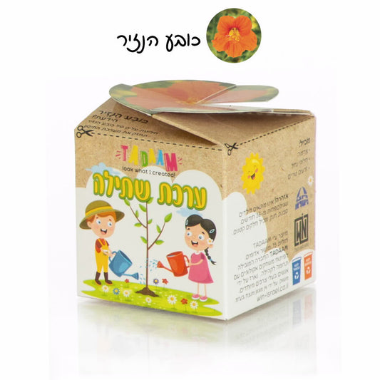ערכת שתילה פרחי נוי