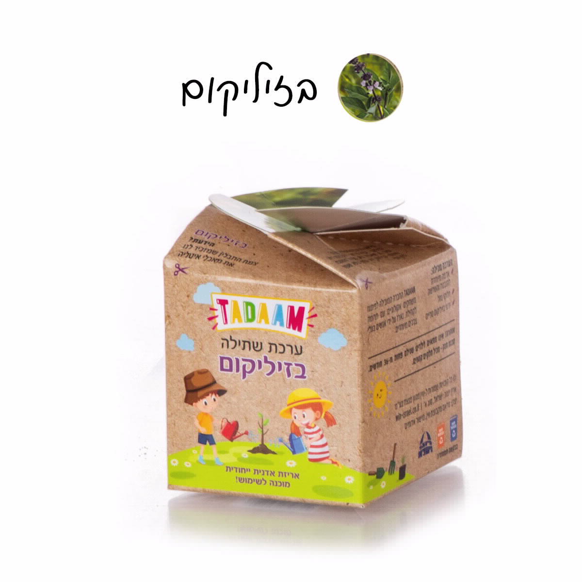 ערכת שתילה צמחי תבלין