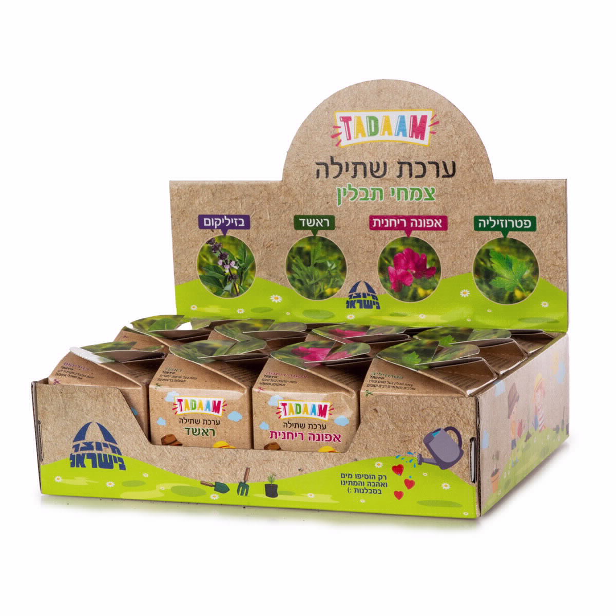 ערכת שתילה צמחי תבלין