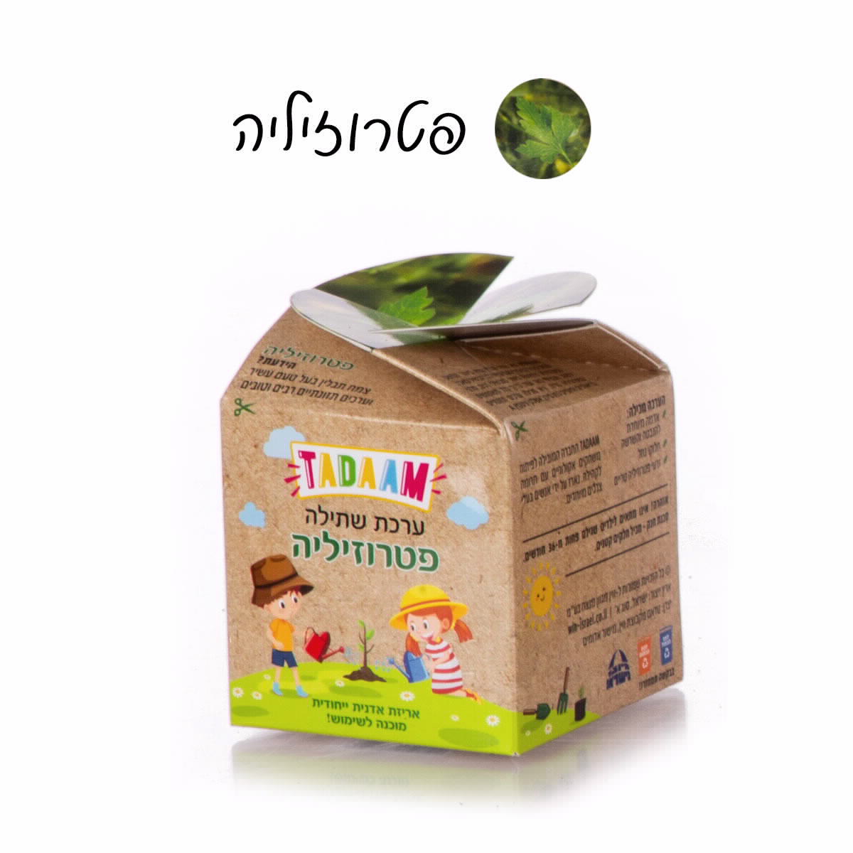 ערכת שתילה צמחי תבלין