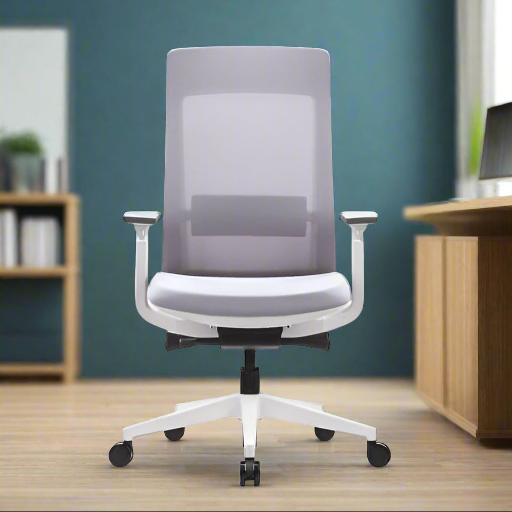 כיסא דגם אלביט גוף לבן