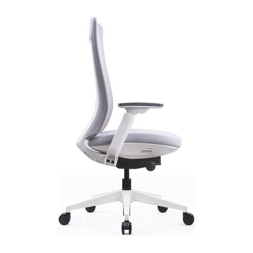 כיסא דגם אלביט גוף לבן