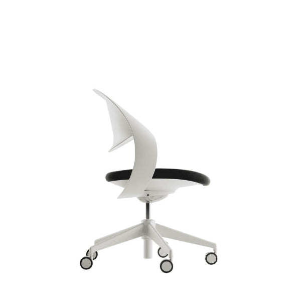 כיסא LOOP לבן