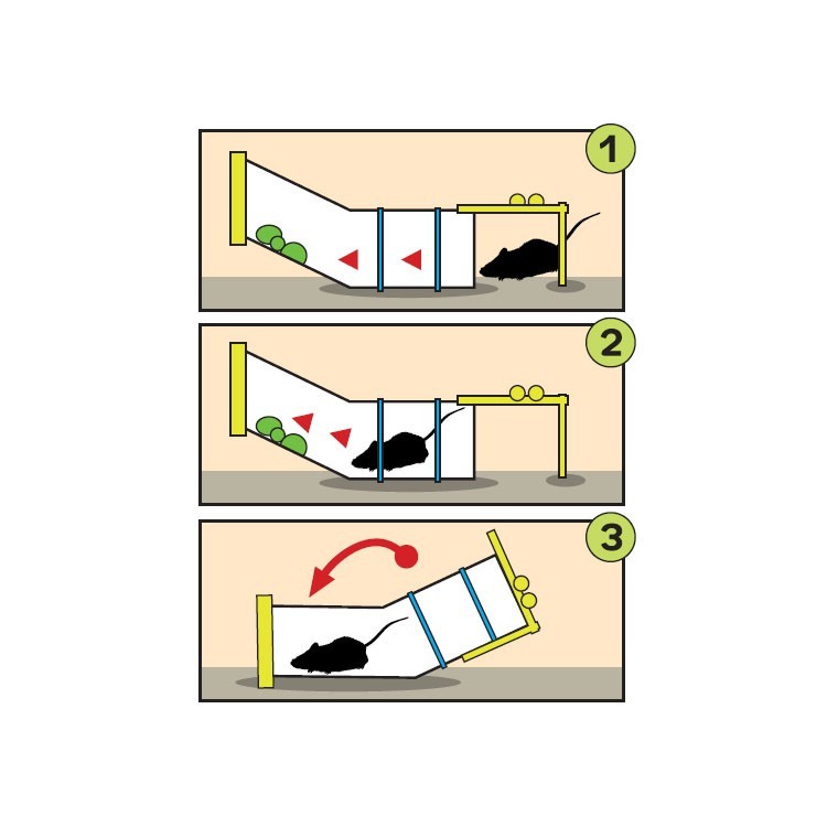 מלכודת נדנדה כחולה לחולדות ועכברים
