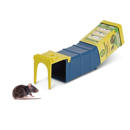 מלכודת נדנדה כחולה  לחולדות ועכברים