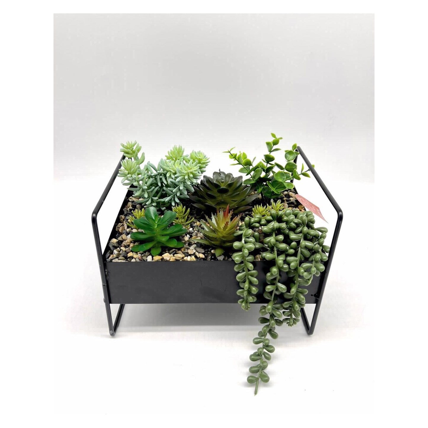 אדנית מתכת מרובעת עם ידיות וסוקולנטים 17*24