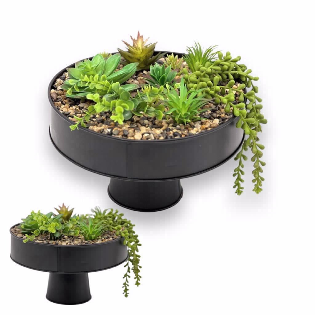 מגש ברזל על רגל+סוקולנטים 15*25