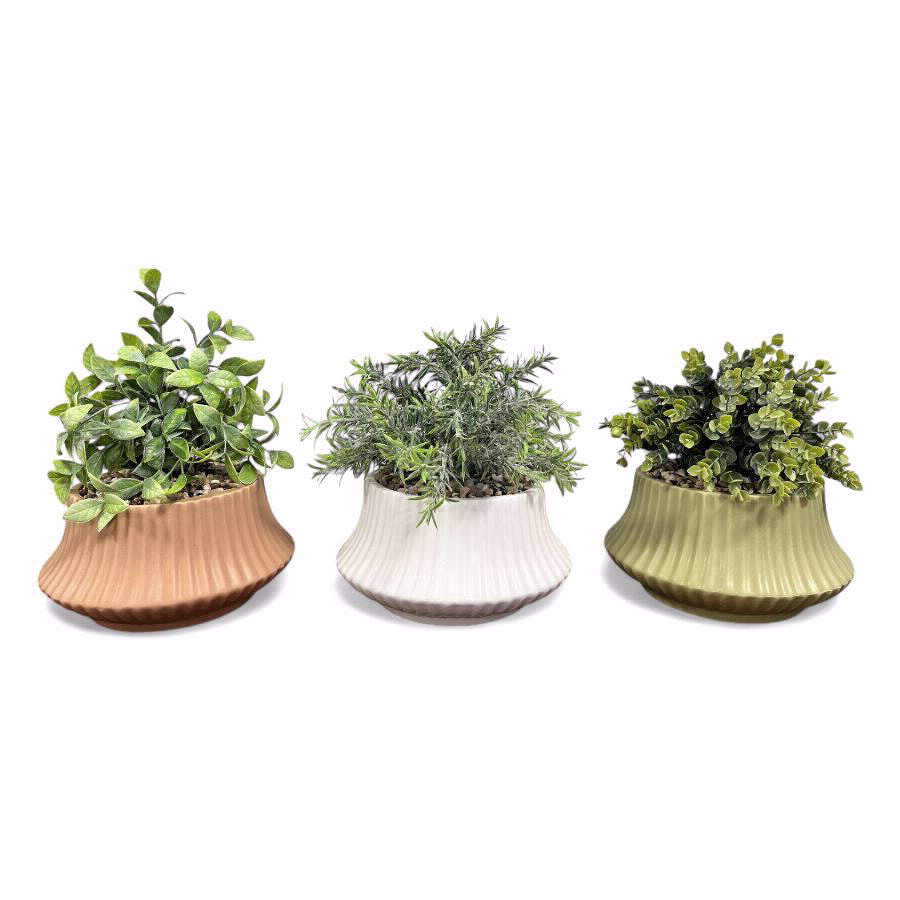 עציץ דקורטיבי סוקולנטים קלאסי 23*15