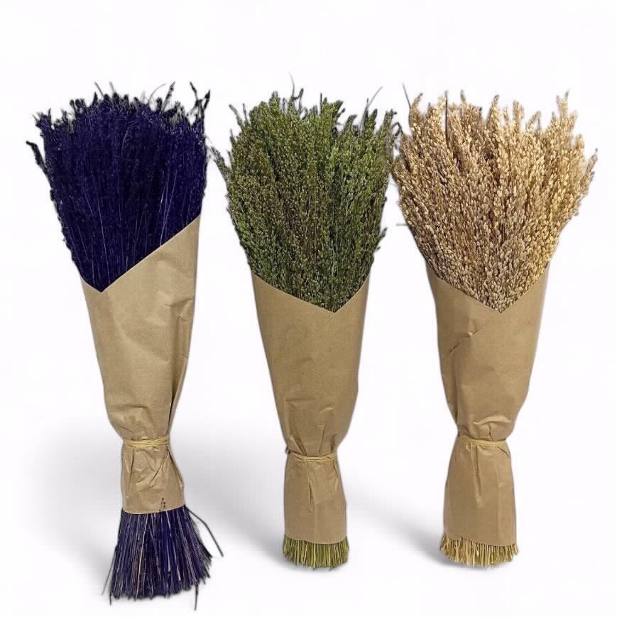 זר פרחים מיובשים דגם פאמפס כוכב 40