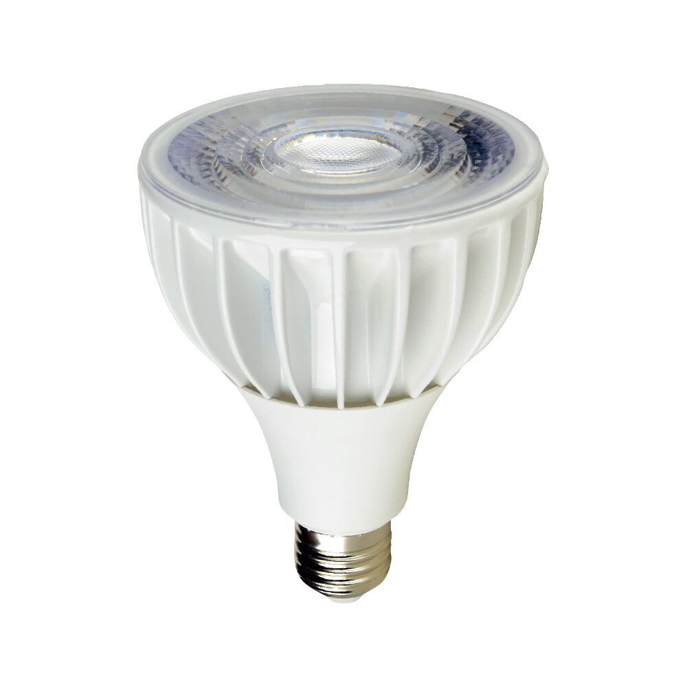 PAR30 LED 24W E27 2700K נורת פאר