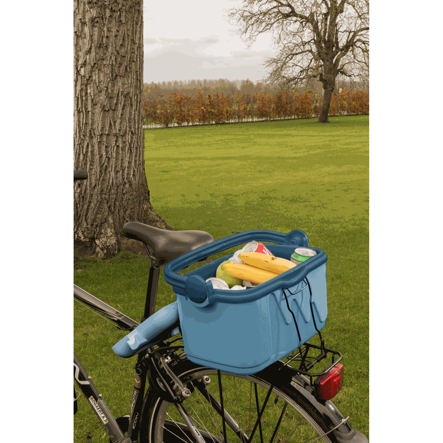 צידנית קשיחה 10 ליטר תכלת