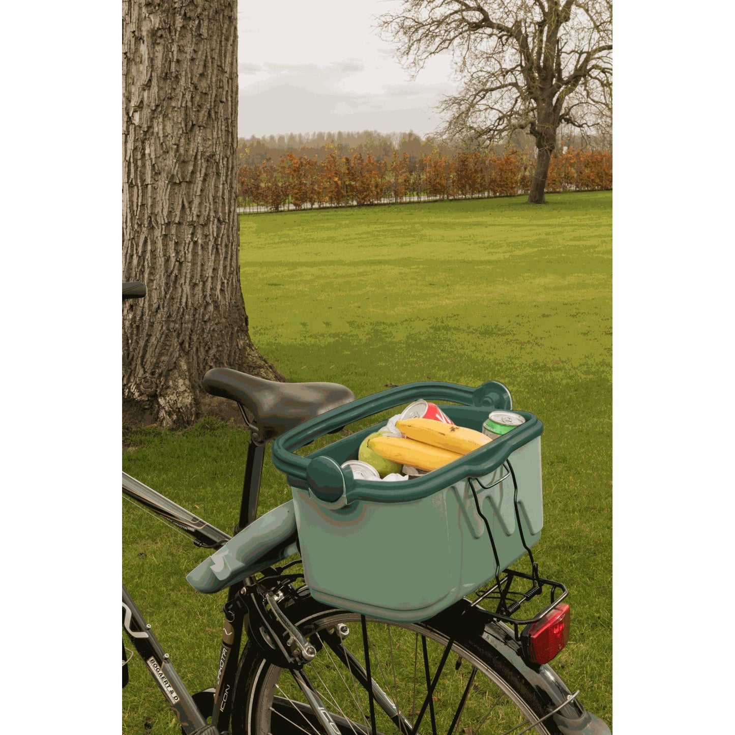 צידנית קשיחה 10 ליטר ירוק