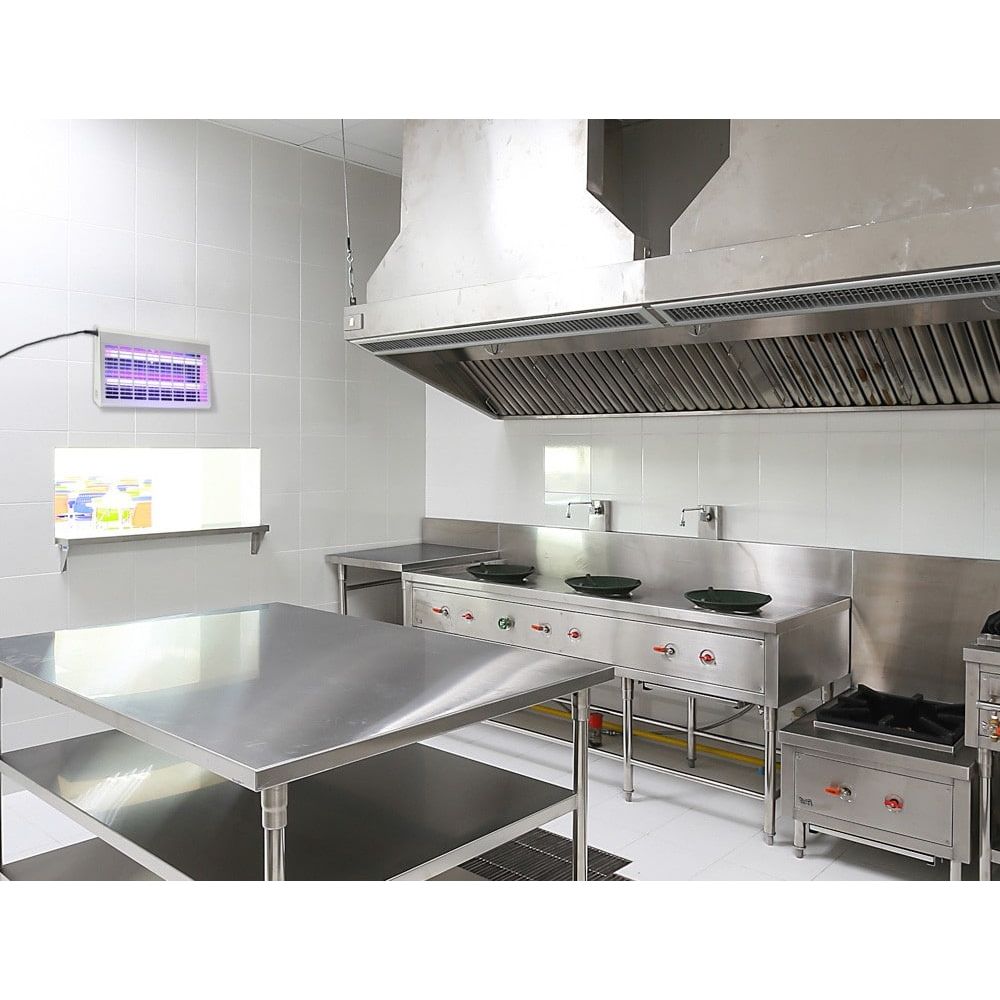 קטלן חרקים הוריקן פרופישונל חרקן מקצועי צבע לבן