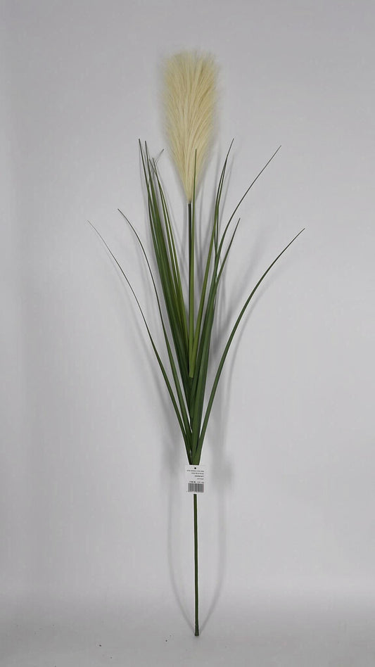 ענף זיפ נוצה מטר