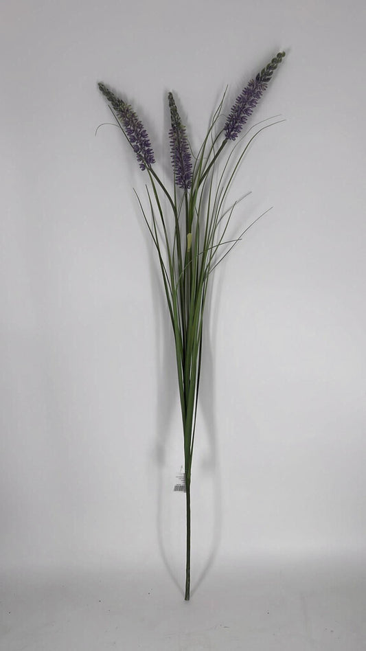 ענף לוונדר 1.2