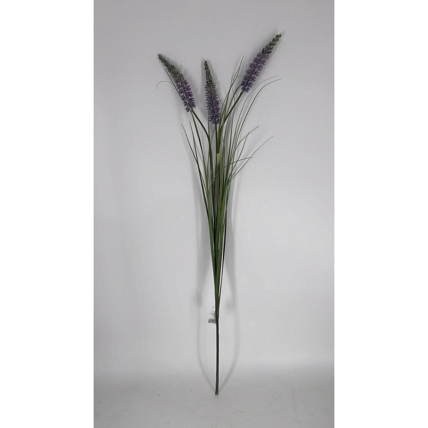 ענף לוונדר 1.2