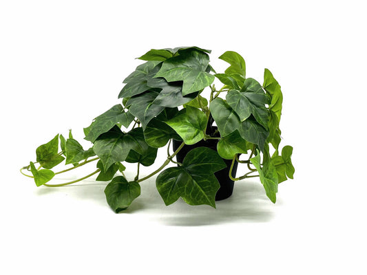 עציץ נשפכים דגם הולנד