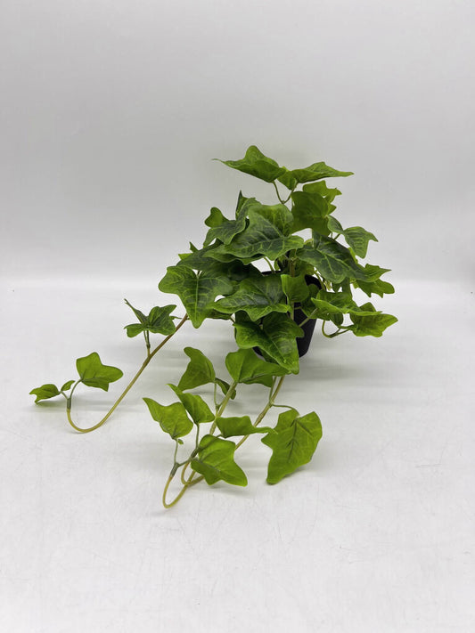 עציץ נשפכים דגם תילתן