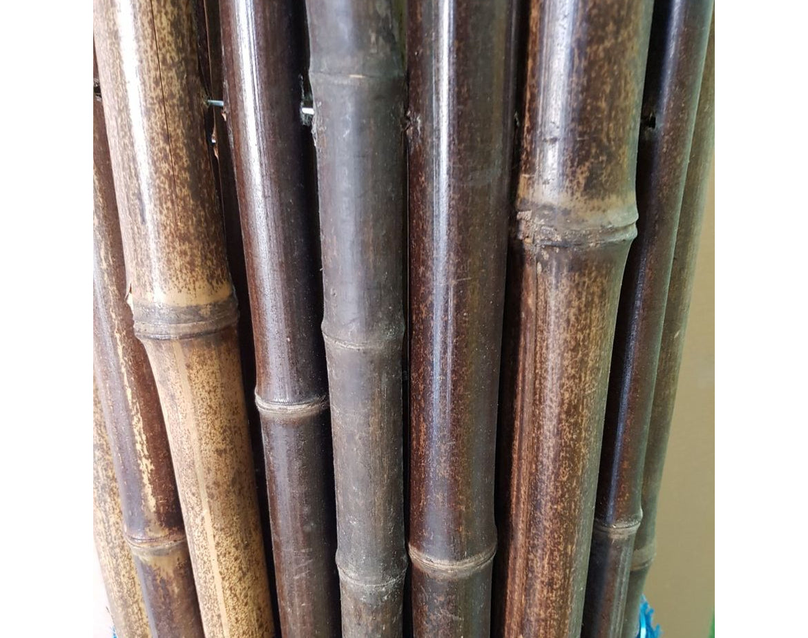 במבוק מושחל 30-35 שחור 1.5*2 - Garden Top