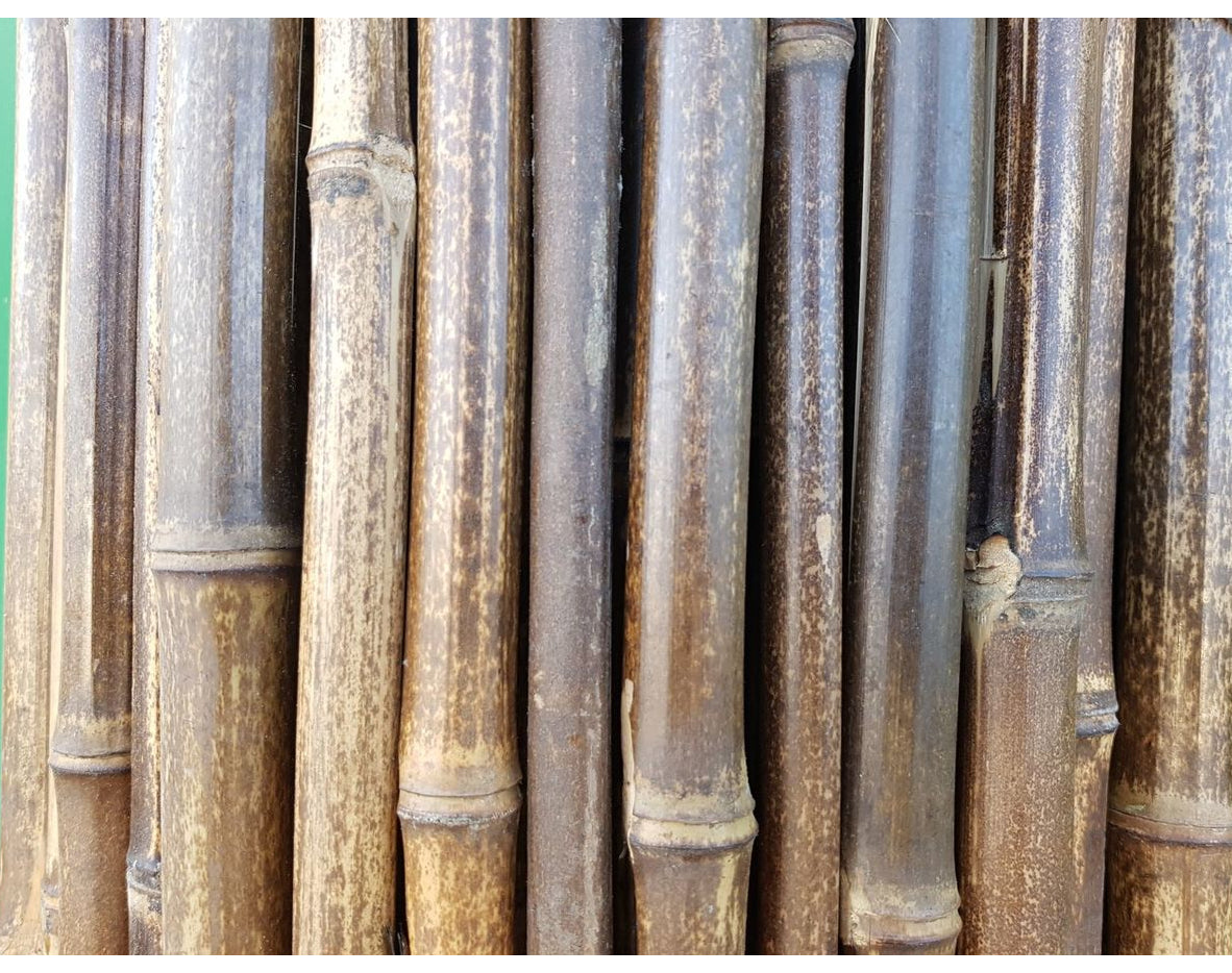 במבוק מושחל 30-35 שחור 1.5*2 - Garden Top