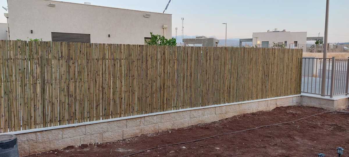 גדר במבוק מושחל פרימיום עובי 14-16 מידה 2X5 מ' EVERGREEN