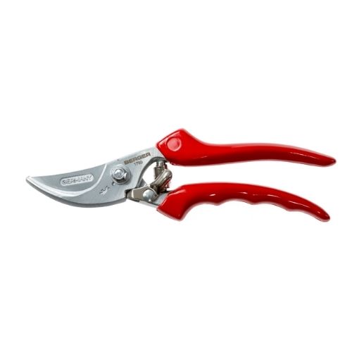 מזמרת גינה - להב מחושל