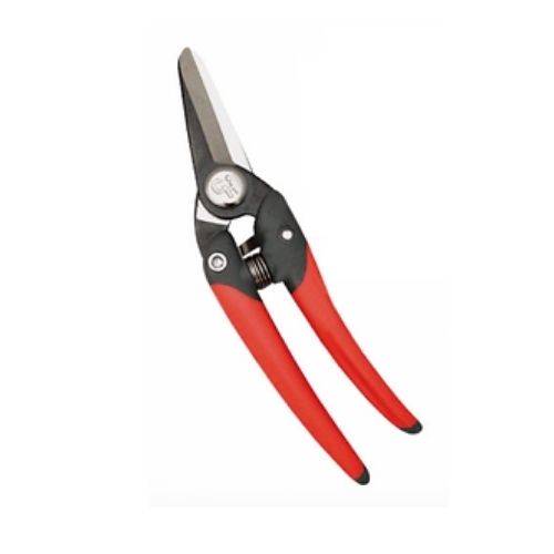 מזמרת יפנית מקצועית