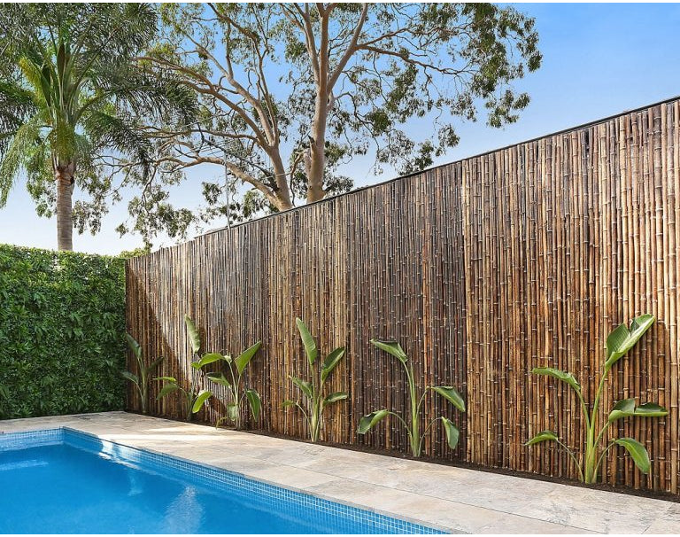במבוק מושחל 30-35 שחור 1*2 - Garden Top