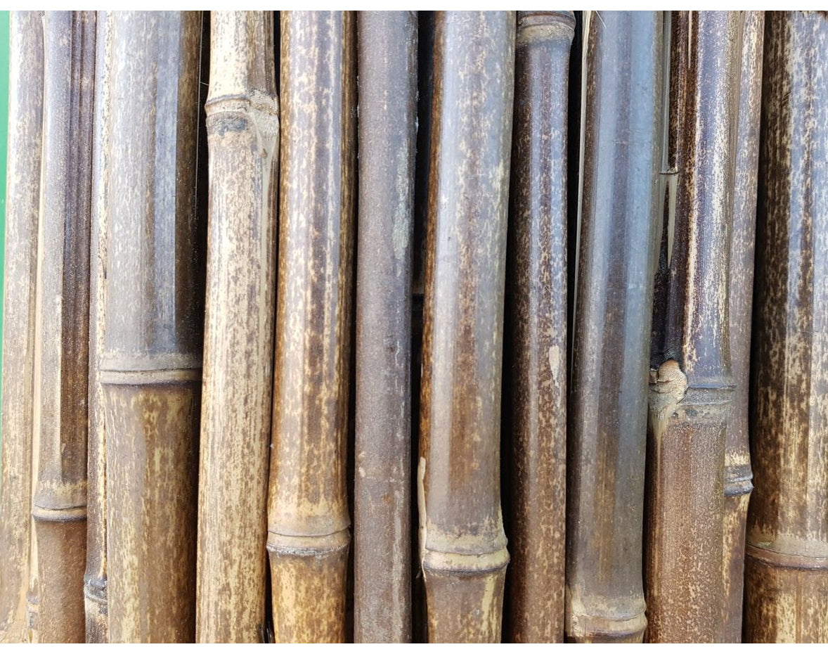 במבוק מושחל 30-35 שחור 1*2 - Garden Top