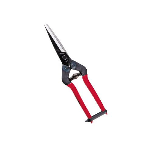 מזמרה יפנית אל חלד