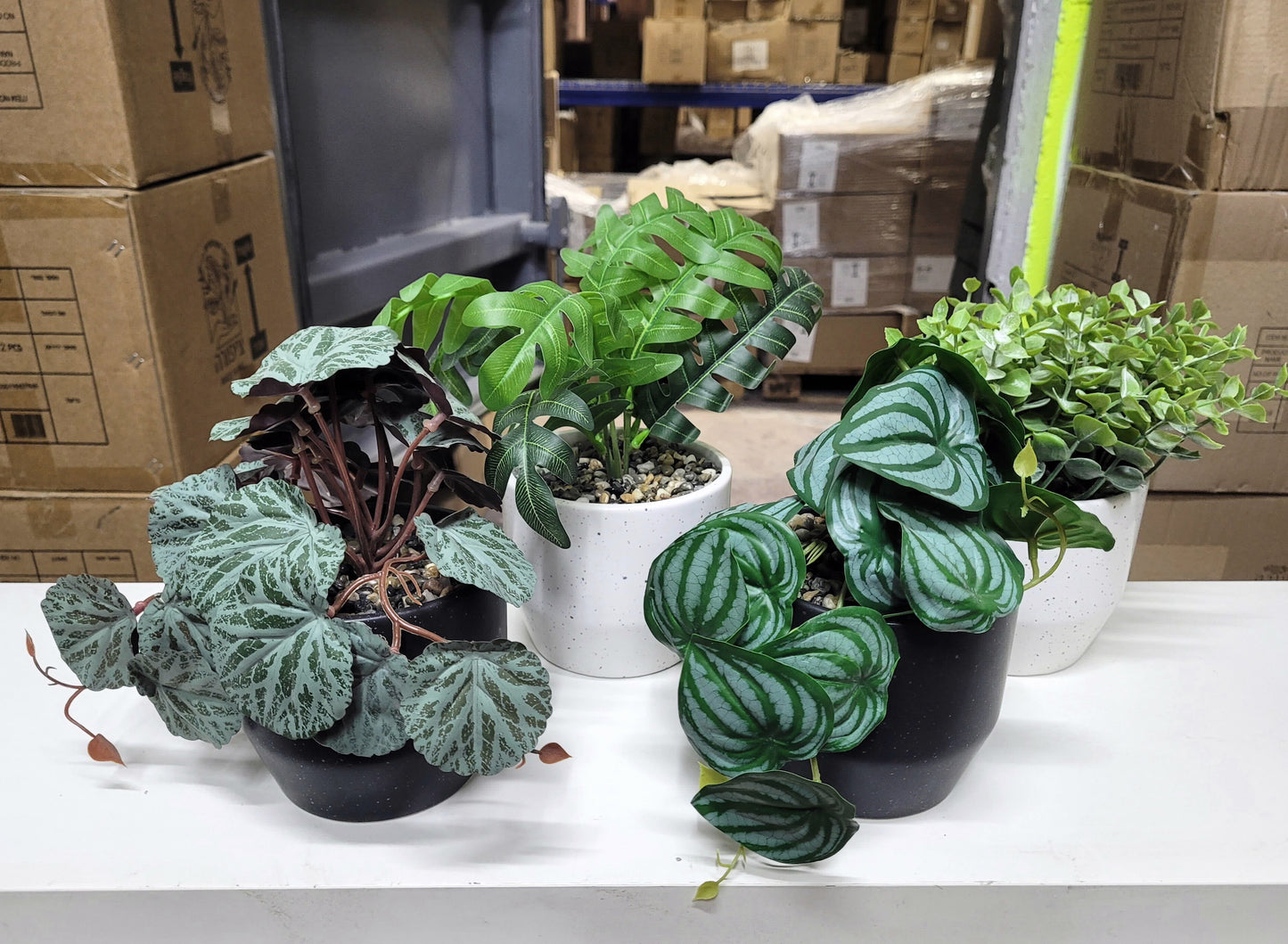 עציץ עלים ירוקים דגם שפע 12*30