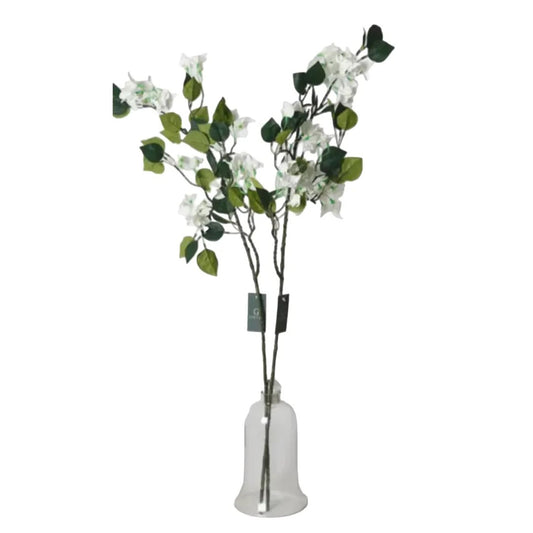 בוקט פרחי BOUGAINVULLEA בגודל 100*22 בצבע לבן