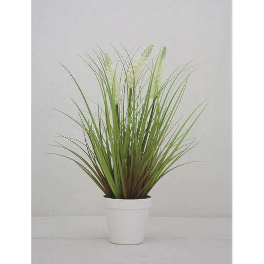 עציץ לבנדר לבן 46 ס"מ