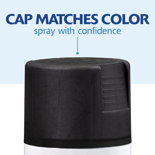 ספריי צבע שחור מט                 RO304012