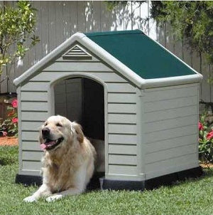 מלונות ומיטות לחיות מחמד