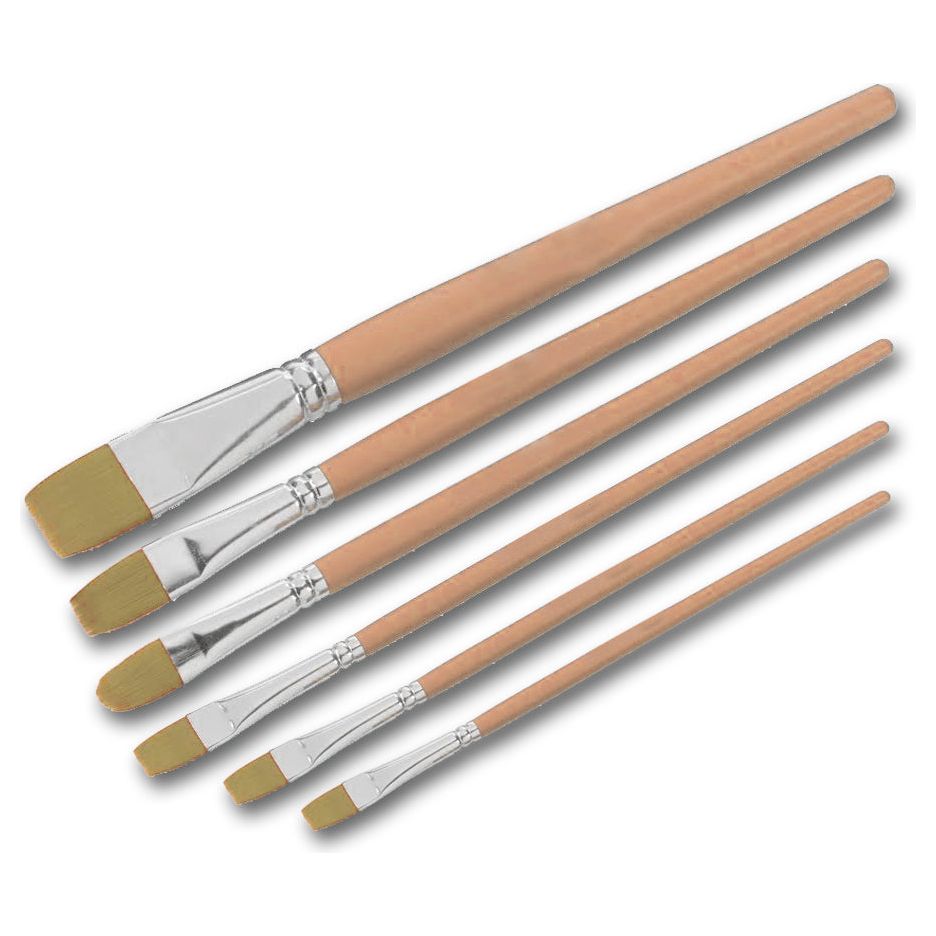 סט 6 מכחולי ציור