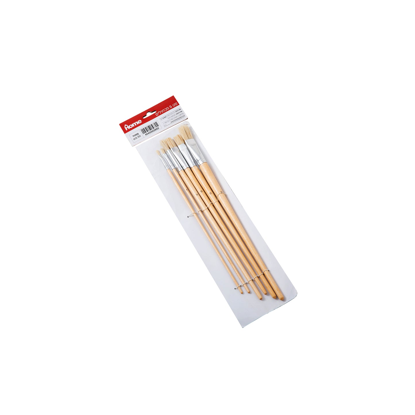 סט 6 מכחולי ציור