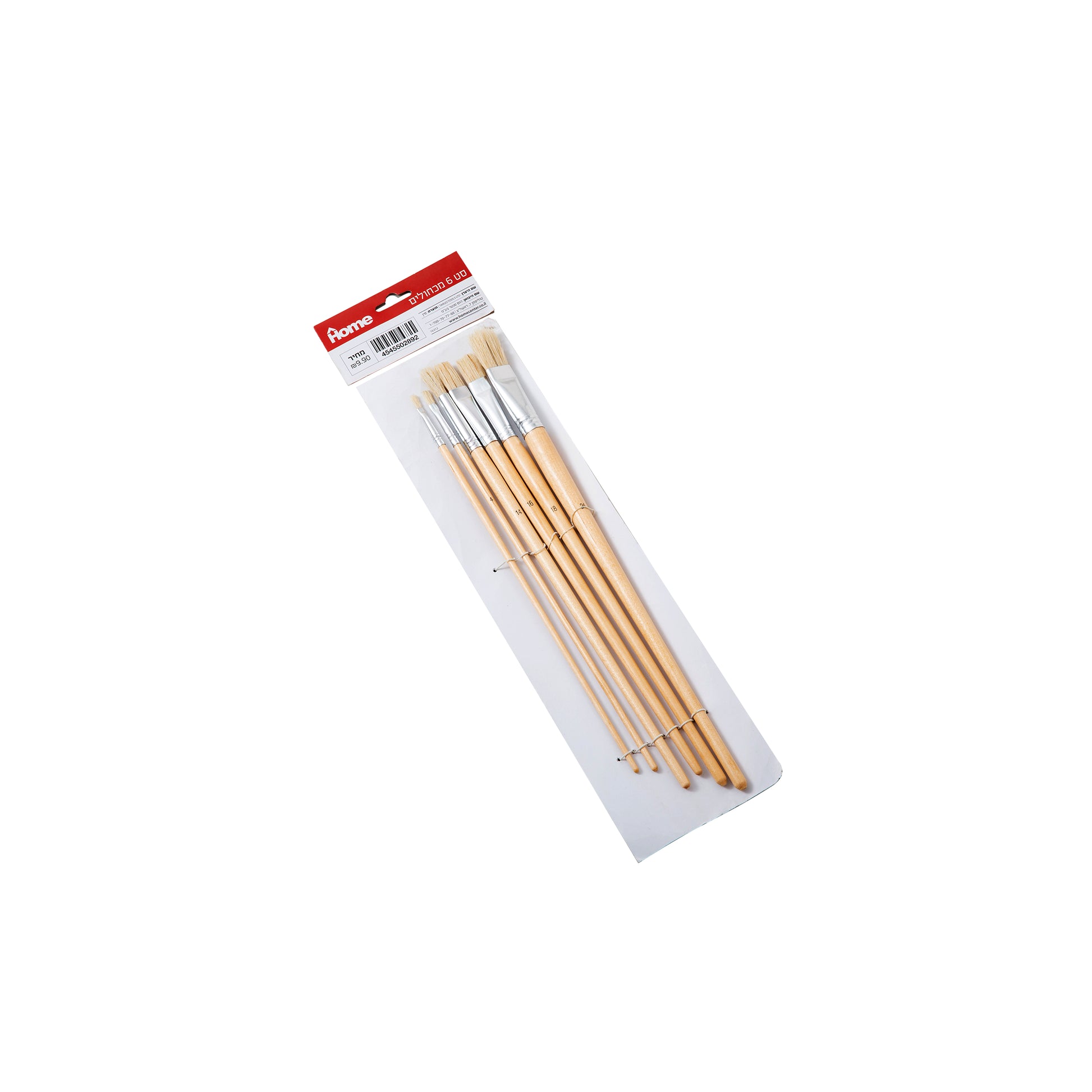 סט 6 מכחולי ציור