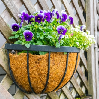 עציצים אדניות וקישוטים לגינה